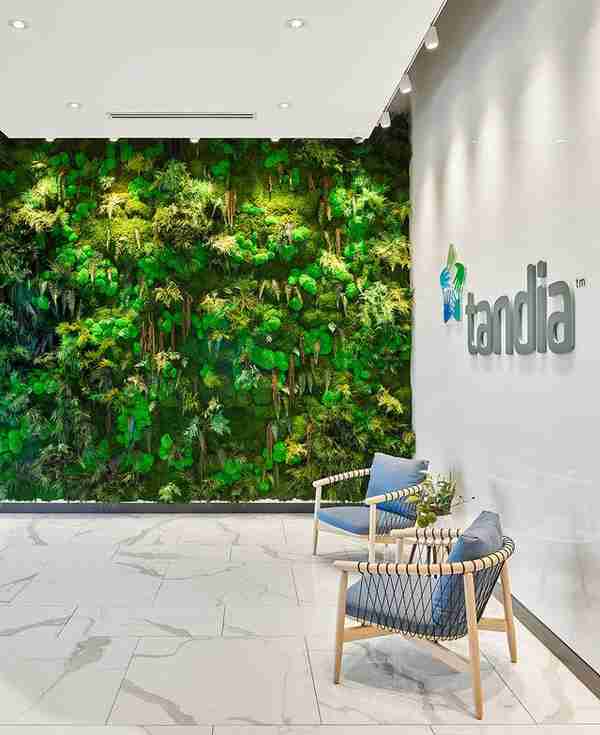 清新明媚 金融公司Tandia Financial加拿大伯灵顿办公设计欣赏